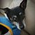 Krista Breault's profile image