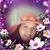 Leonor Gonzalez's profile image