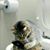 Natalie Carl-Gallagher's profile image