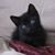 Mimi Herbert's profile image