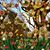 Diann Panek's profile image
