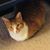 Suzanne Reilly's profile image