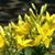 Janice Dingler House's profile image