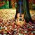 Amanda McKim's profile image