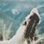 Meryl Meigs's profile image