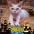 E Jerree Griffen Rippel's profile image
