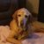 Michelle Derry Chapman's profile image