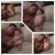 Liz Gorath's profile image