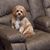 Mary Kozlik Grant Musser's profile image