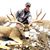 Nic Luhrs's profile image
