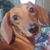 Peggy Prescott's profile image