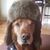 Cory Macpherson's profile image