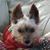 Dolores Siler's profile image