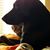 Cathy Cox's profile image