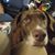 Heather Tucker's profile image