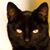 Kathy Ashcraft's profile image