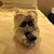 Kimberly Putich Ebling's profile image