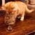 Brian Grimm's profile image