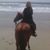 Bronte Macias's profile image