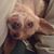 Alexandria Cotero Daley's profile image