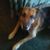 Susan Ladimer's profile image