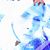 Katharine Ann Bolton-Kaplan's profile image