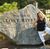 Lisa Demas Carroll's profile image