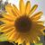 Marybeth Petersen's profile image