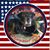 Chris Burrell's profile image