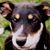 Dorthy Pratt's profile image