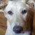 Dawn Bacon's profile image