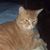 Ruth Adkins's profile image