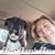 Diane Newman Stoneroad's profile image