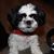 Corina Cortez's profile image
