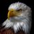 Jeff Baker's profile image