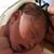 John Lyall Cambridge Bay's profile image