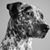 Lionel Madiou's profile image