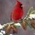 Gail Haynie's profile image