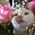 Lorraine Alvarez's profile image