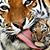 Pam Burgener Connely's profile image