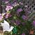 Brenda Ledbetter's profile image