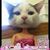 Diane Wilson's profile image