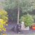 Debbie Dobson's profile image