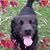 Denise Miller's profile image
