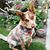 Mary Sanchez's profile image