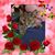 RoseMarie DiRusso's profile image