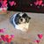 Linda Darico's profile image
