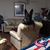 Lee Ann Lasher's profile image