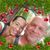 Gina Baldrica Masters's profile image
