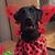 Dawn Rubenacker Wheat's profile image